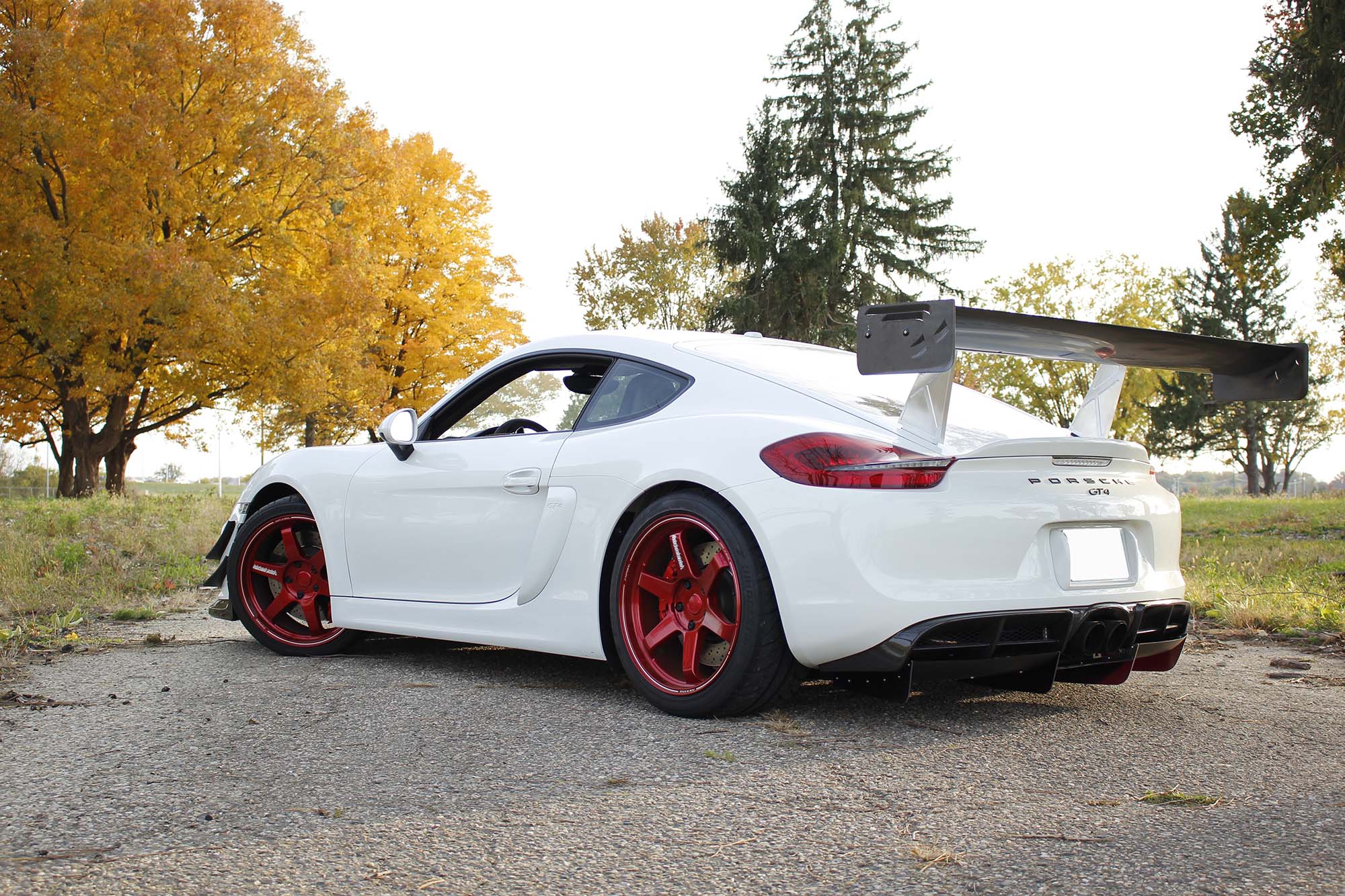 Verus Carbon Rear Diffuser - 981 GT4