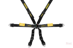 Schroth Enduro 2x2 Harness